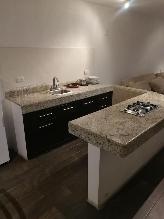 Апартаменты Exelentes Departamentos Y Lofts En El Centro De La Ciudad De Тесьютлан Экстерьер фото